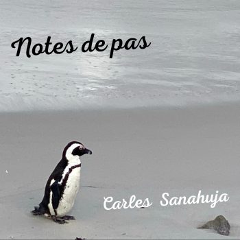 Notes de pas